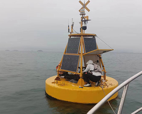 大亚湾多样性生态调查