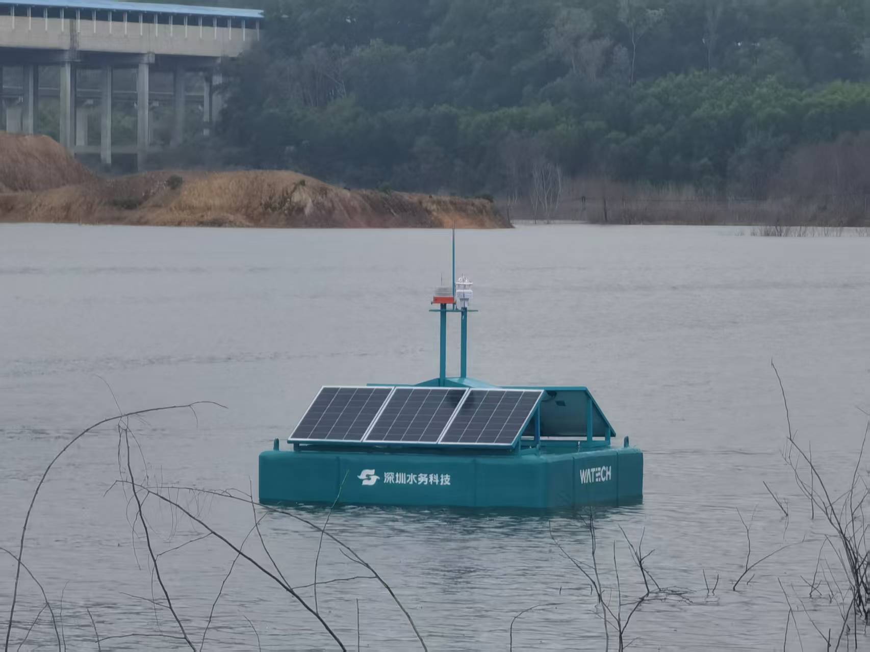 从模糊估算到精准透视：水下原位成像技术革新水下生态监测