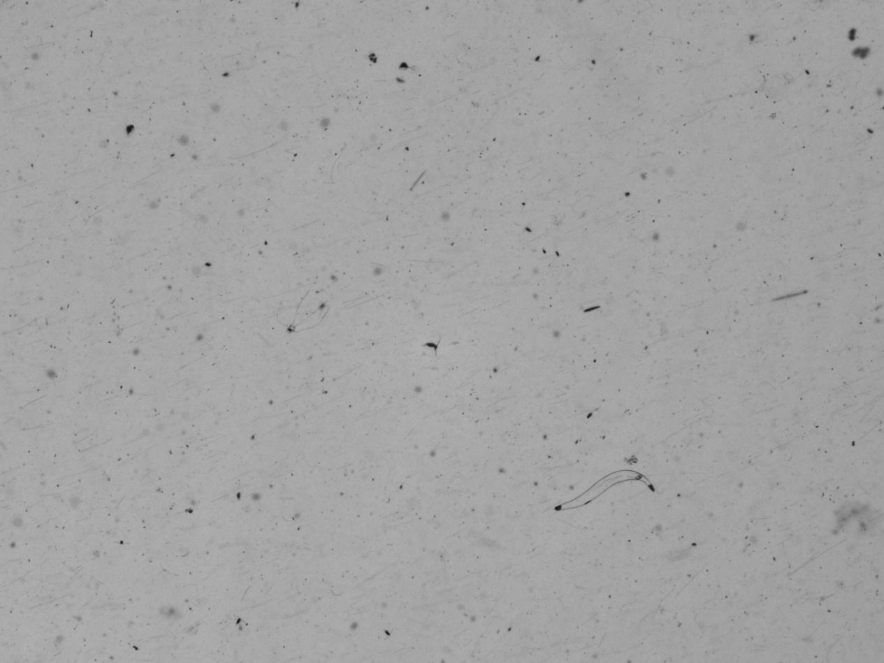 大鹏湾走航监测