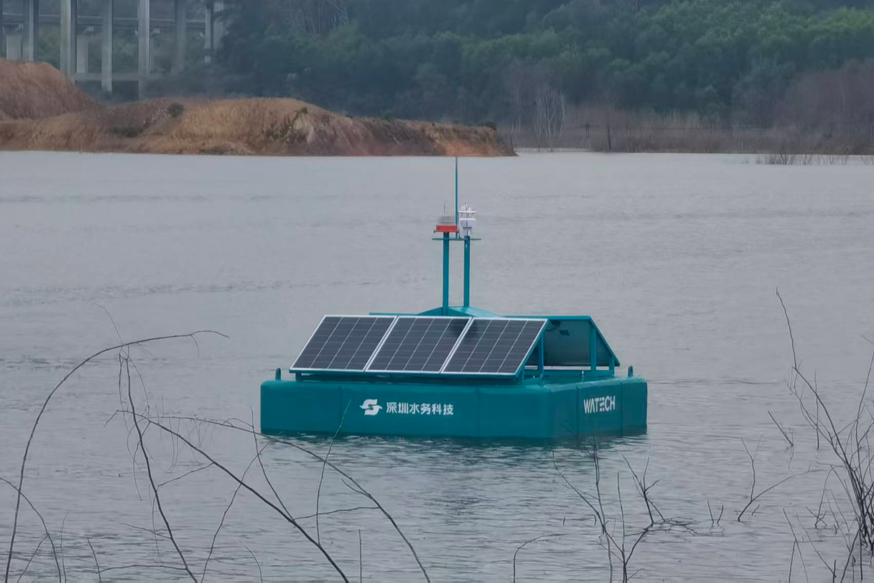 从模糊估算到精准透视：水下原位成像技术革新水下生态监测