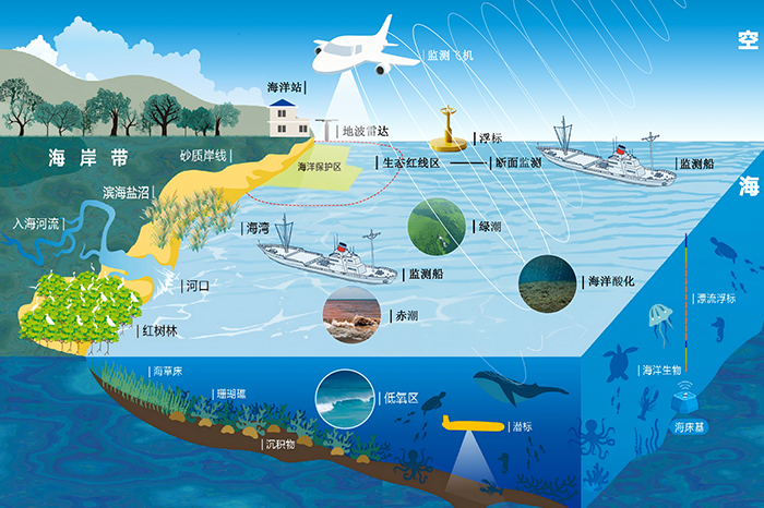 科技慧眼守护绿水青山&mdash;&mdash;浮游生物成像仪赋能美丽中国&ldquo;十五五&rdquo;建设