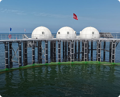 明波海洋牧场监测