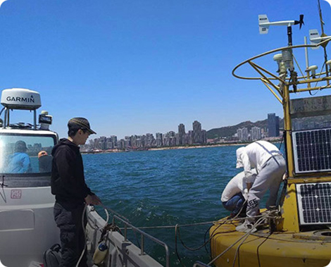 小麦岛海洋生态监测