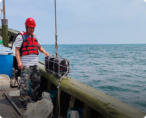 莱州湾海洋生态调查